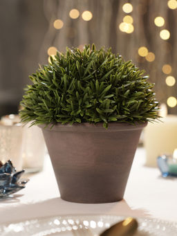 Pure Home + Living - Green Artificial Fern Pine Plant with Cement Pot - Large