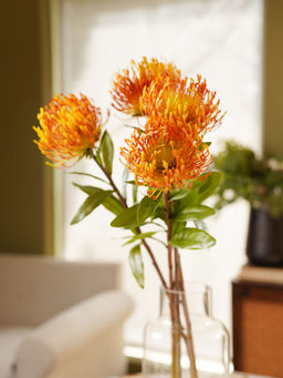 Pure Home + Living - Yellow Pincushion Artificial Stem - Single
