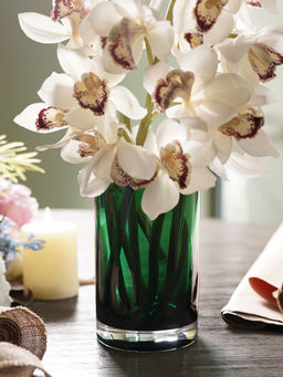 Pure Home + Living - Green Cylindrical Straight Glass Vase