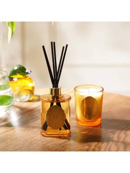 Pure Home + Living - Set of 2 Light Amber Golden Oud Scented Wax Filled Jar Candle and Diffuser