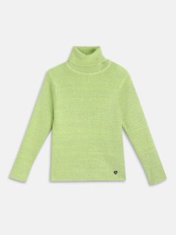 Blue Giraffe - Girls Solid Turtle Neck Pullover Sweater