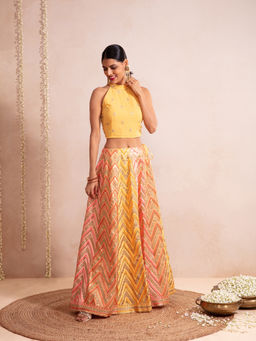 Gajra Gang - Mastani Multi Colour Skirt And Crop Top (Set of 2)