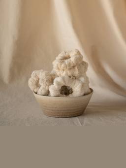Akiiko - Beige Set of 6 Dolce Vanilla Scrunchies