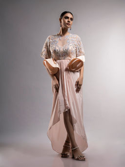 Ellemora - Indo-western Nude Delight A Line Maxi Dress