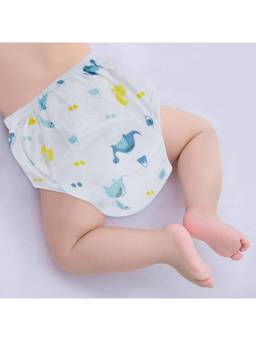 Baby Moo - Dinosaur Reusable Cloth Training Diaper Panty - Multicolour