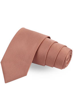 PELUCHE - Graceful Stripes Necktie for Men