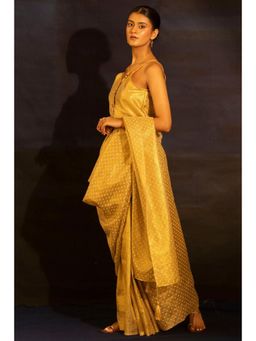 Banana Labs - Illume Liquid Gold Saree Without Blouse