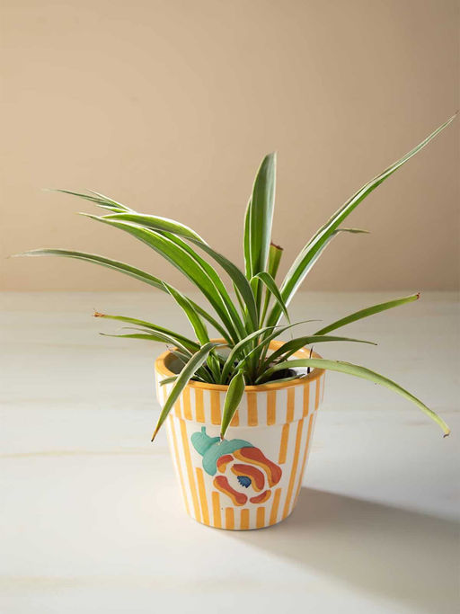 Freedom Tree Gypsy Stripes Yellow Ceramic Herb Planter Set Of 2
