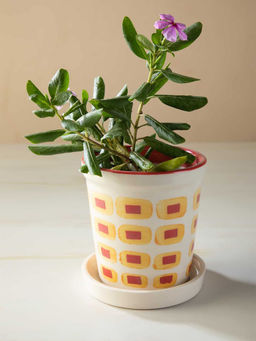 Freedom Tree - Dash Dash Ceramic Herb Planter Set Of 2 Red