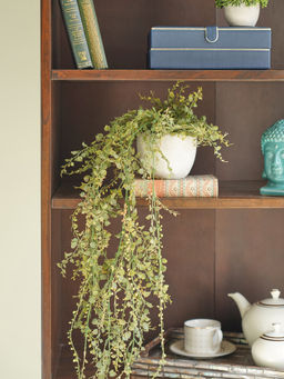 Pure Home + Living - Green Hanging Potted Leafy Bunch