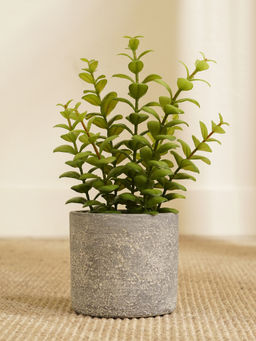 Pure Home + Living - Apple Leaves in Cement Pot