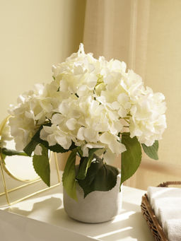 Pure Home + Living - Hydrangea Bush in Cement Pot