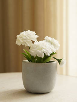 Pure Home + Living - Carnation in Cement Pot