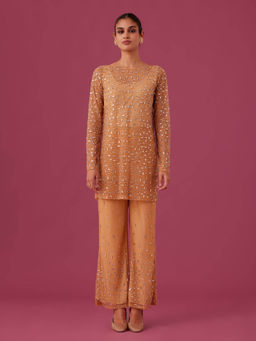 MEDHA BATRA - Brown Champagne Rose Net Co-Ord (Set of 3)