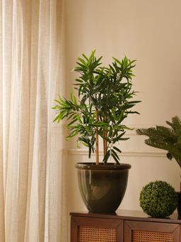 Pure Home + Living - Green Faux Bamboo Potted Plant - Small