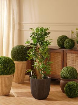 Pure Home + Living - Green Faux Bamboo Potted Plant - (M)