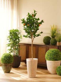 Pure Home + Living - Green Orange Faux Citrus Potted Plant - Large