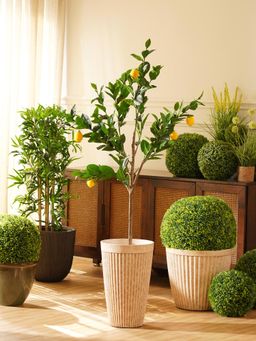 Pure Home + Living - Green Yellow Faux Potted Plant - Large