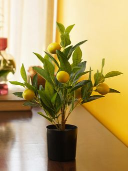Pure Home + Living - Yellow Artificial Lemon Potted Tree - (M)