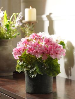 Pure Home + Living - Light Pink Artificial Begonia Potted Plant