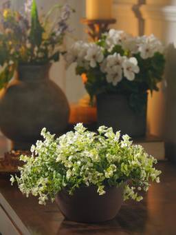 Pure Home + Living - White Artificial Flowers In Paper Mache Pot