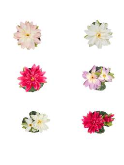 Premsons - Assorted Floating Flowers - Set Of 6