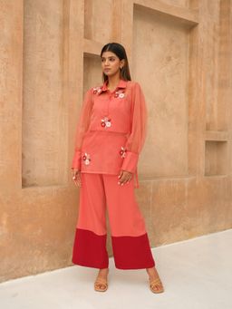 Rabnoor K Sethi - Coral Organza Embroidered Co-Ord (Set of 2)