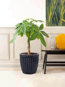 Kuber Industries - Roto Mould Big Size Flower Pot Marble Pihu Neo - Black