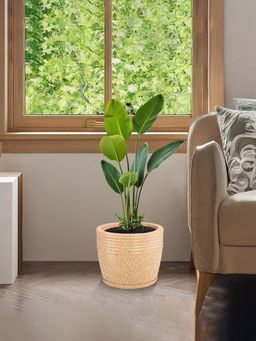 Kuber Industries - Roto Mould Flower Pot with Bottom Tray Marble Sunshine - Sand