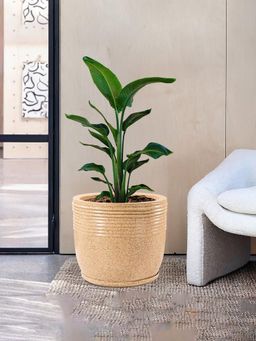 Kuber Industries - Roto Mould Extra Large Flower Pot Marble Sunshine - Sand