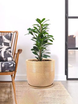 Kuber Industries - Roto Mould Extra Large Flower Pot Marble Sunshine - Sand