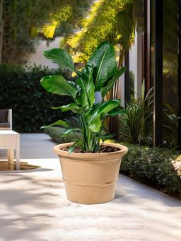 Kuber Industries - Roto Mould Extra Large Flower Pot Marble Victoria - Sand