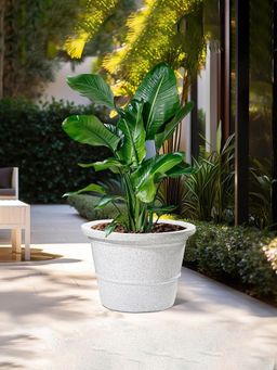 Kuber Industries - Roto Mould Extra Large Flower Pot Marble Victoria - White