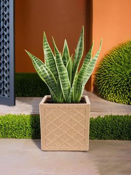 Kuber Industries - Roto Mould Jaguar Maxico Flower Pot for Balcony - Sand Stone