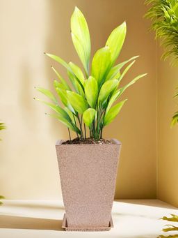Kuber Industries - Lightweight Polymer Flower Pot with Plate Indoor Outdoor