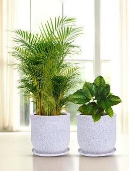 Kuber Industries - Lightweight Polymer Flower Pot with Plate Indoor Outdoor - White (Pack of 2)
