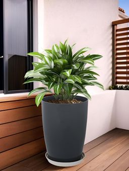 Kuber Industries - Plain Tower Flower Pot with Plate for Home and Garden - Grey