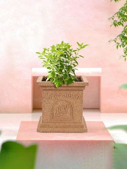 Kuber Industries - Plastic Tulsi Mancha Planter Pot Marble Design - Beige