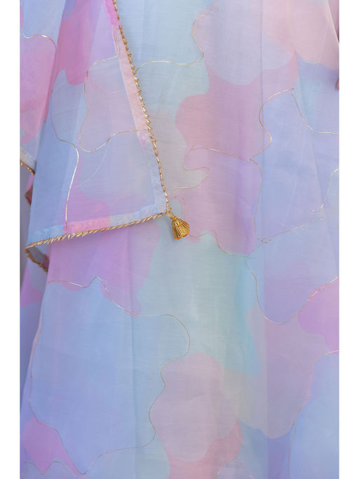Buy Label Kanupriya Pastel Dream Multi-color Organza Anarkali Dress with  Dupatta Online