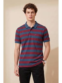 Peter England - Men Blue Stripe Polo Neck T-Shirt