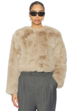 BLANKNYC - Crop Faux Fur Coat
