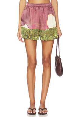 Donde Esteban - La Sierra Silk Shorts