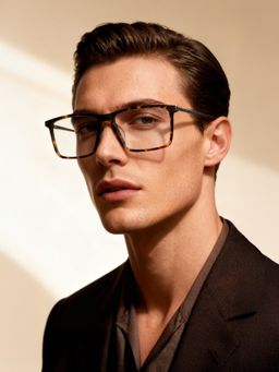 Police - Eyewear For Men With Havana Acetate Frame (Size 55)