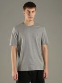 Grey color option, Currently selected