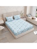 Aqua color option, Currently selected