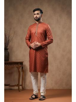 ETHNIC INDIA - Men Printed Mandarin Collar Straight Kurta
