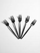 Black color option, Currently selected