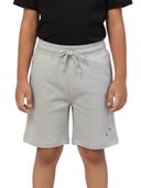 Grey color option, Currently selected