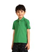 Green color option, Currently selected