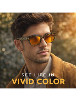 Zaadran - Unisex Yellow Square Shape Sunglass - Poland Yellow (5.6)